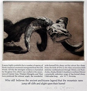 Image description is not available for 1986.036